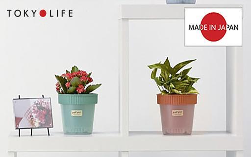 Túi vải trồng cây mua ở đâu đẹp và bền chắc cho khu vườn của bạn